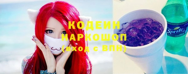 соль ск Алзамай