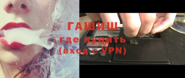 прущие грибы Рославль